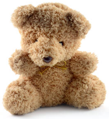 Teddy bear